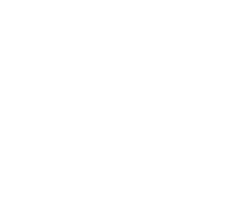 Sandlynk